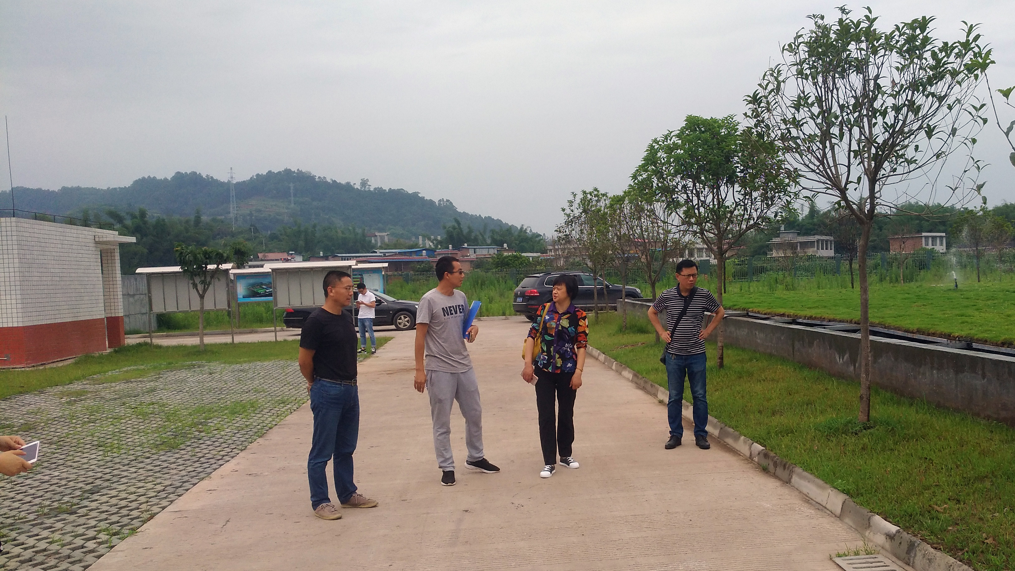 15290262014859.jpg mmexport1529025033871.jpg